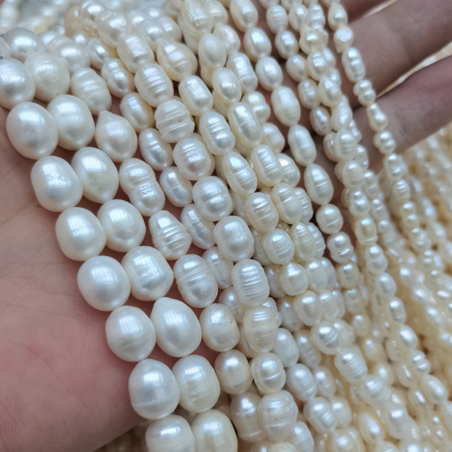 Loose Rice Ringed Pearl Beads